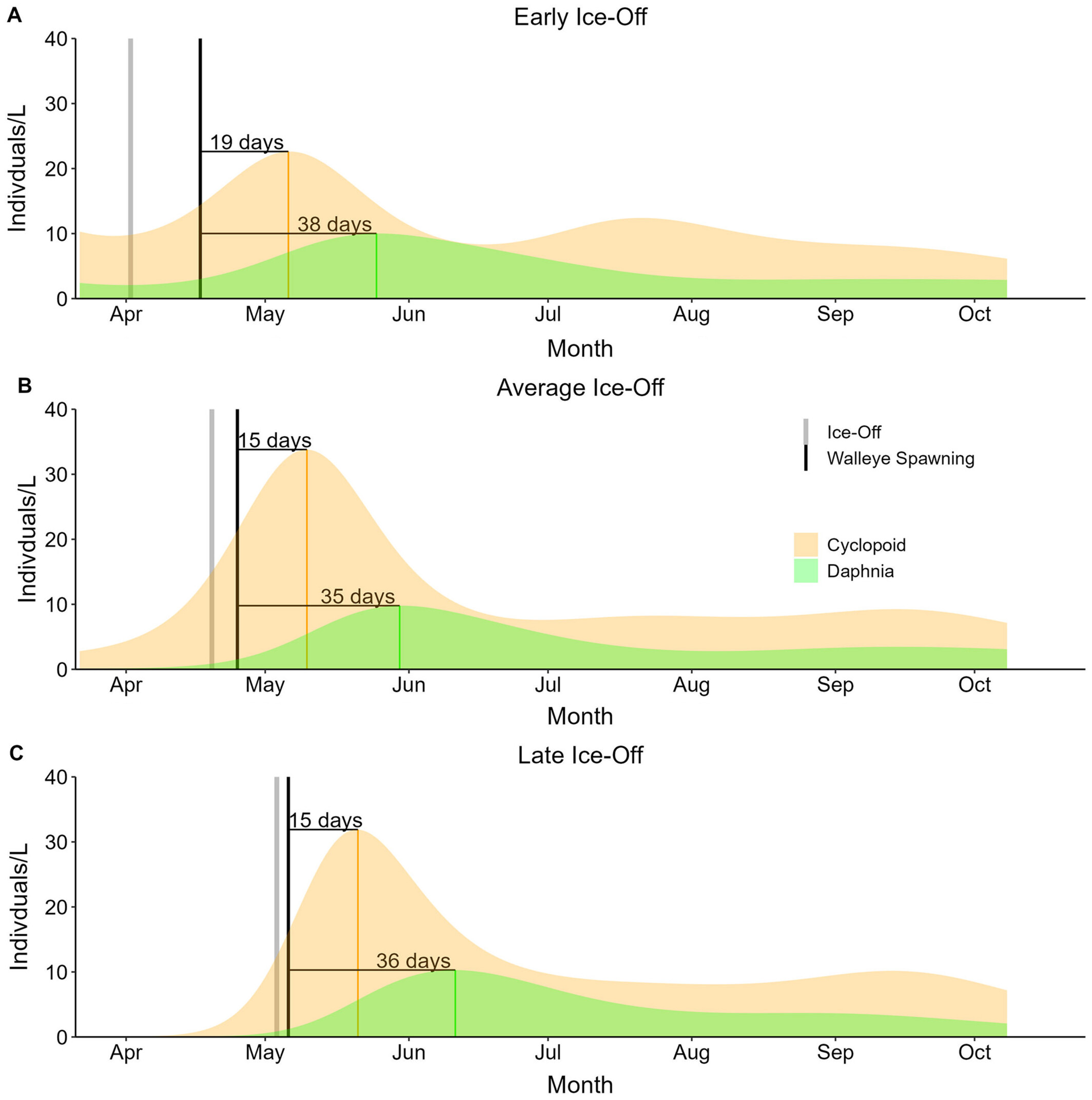 Zooplankton phenology under different ice-off scenarios